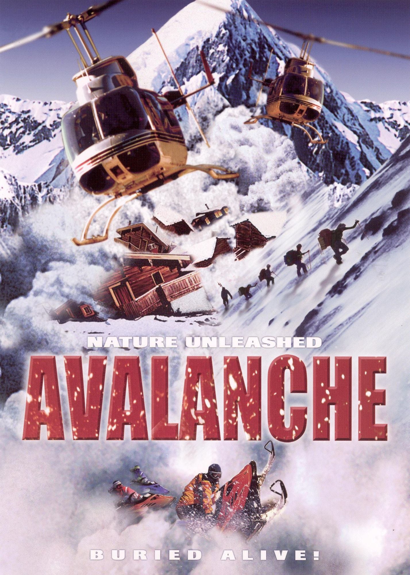 Nature Unleashed: Avalanche