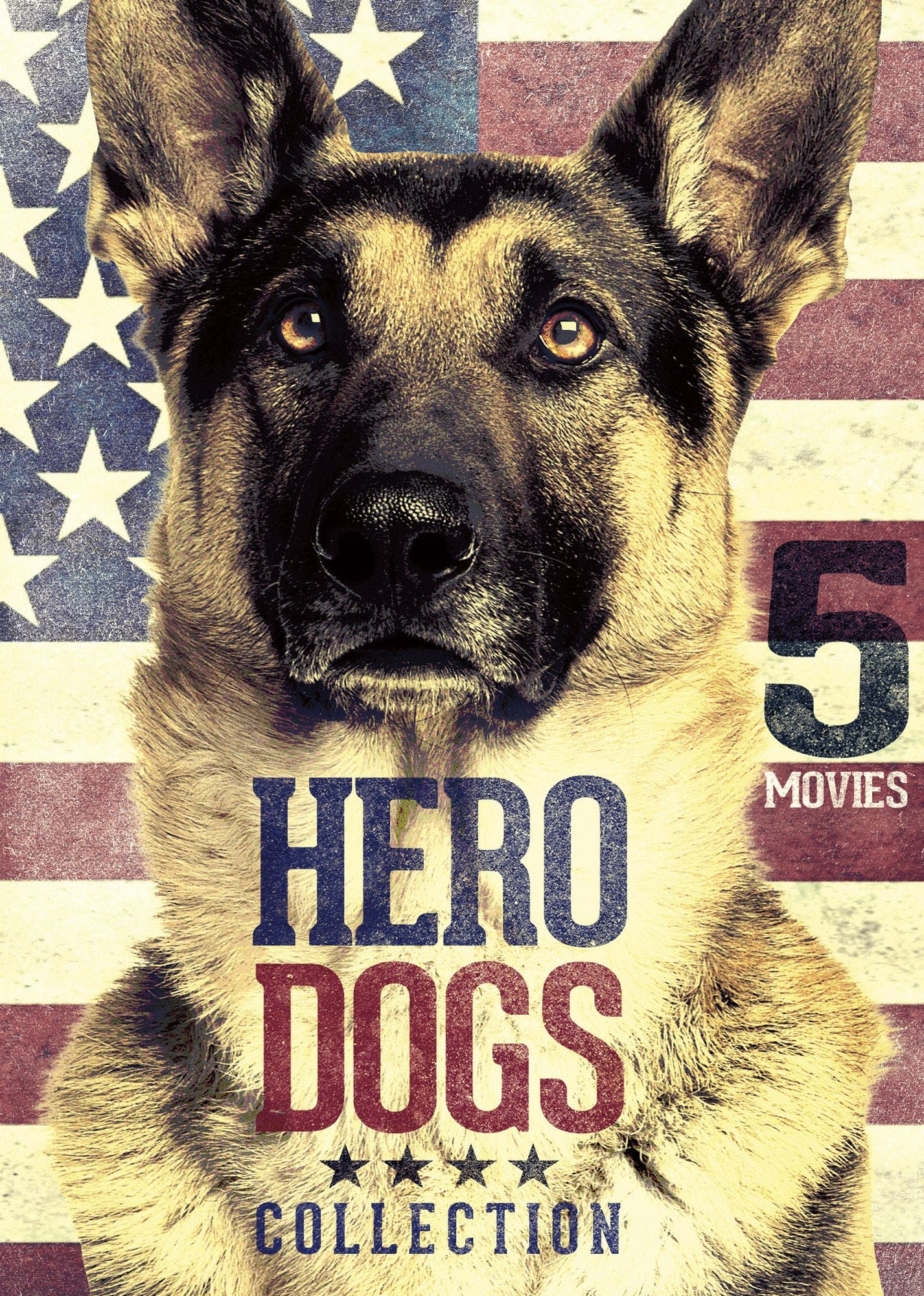 5-Movie Hero Dogs Collection