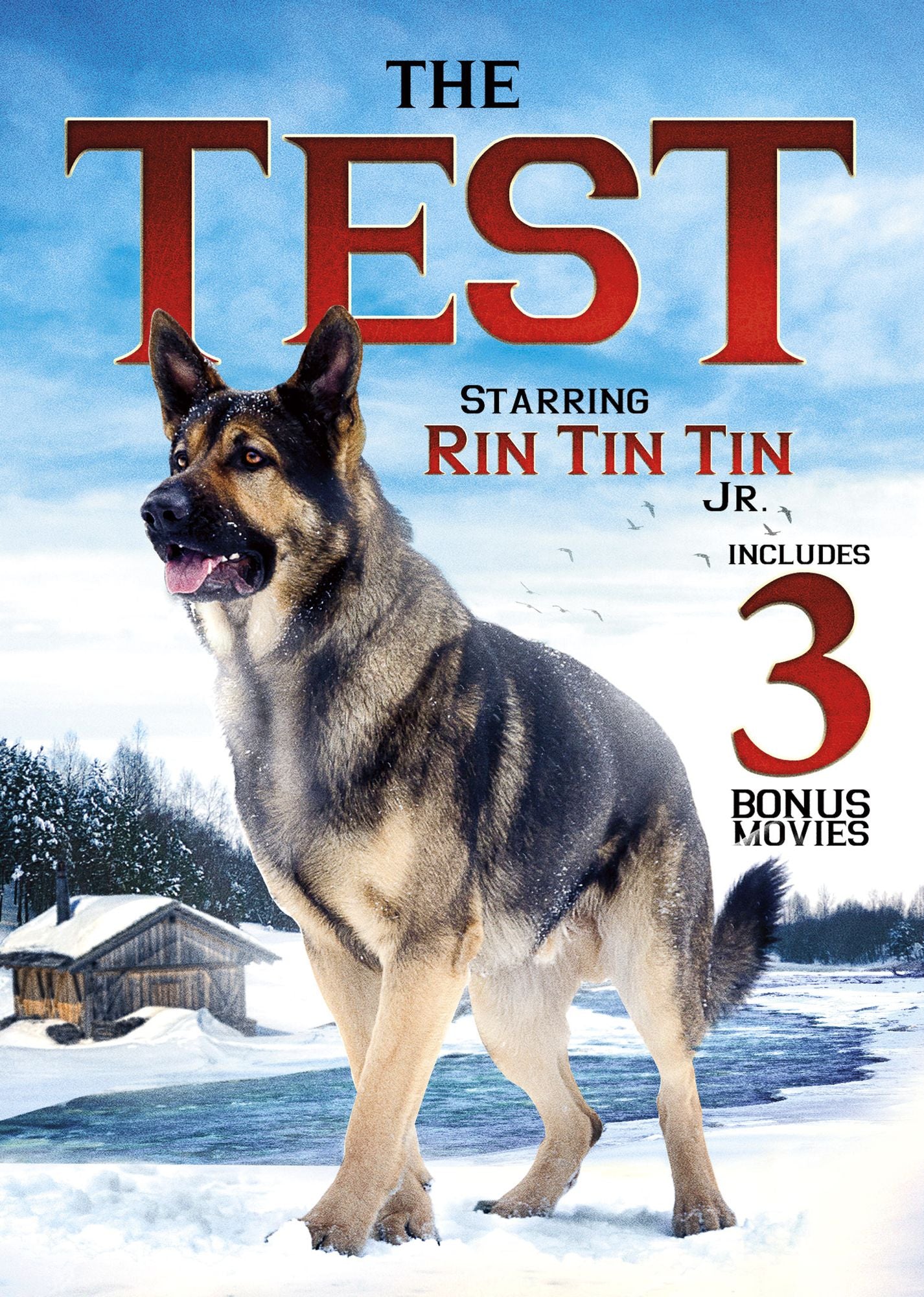 Test: Includes 3 Bonus Movies