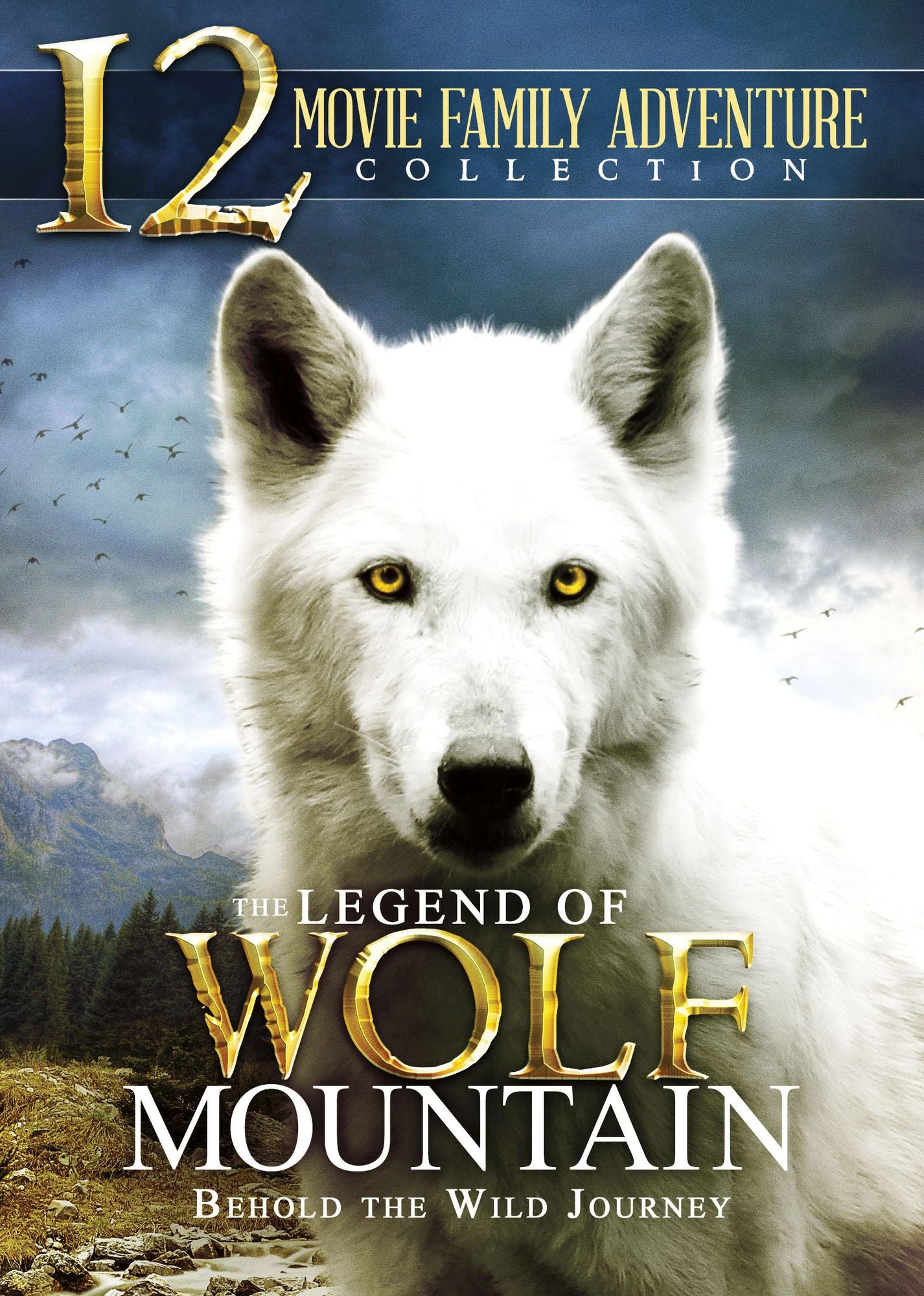 12-Movie Family Adventure Pack