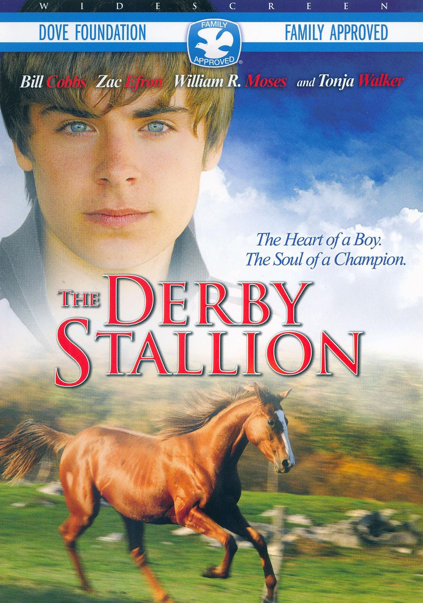 The Derby Stallion