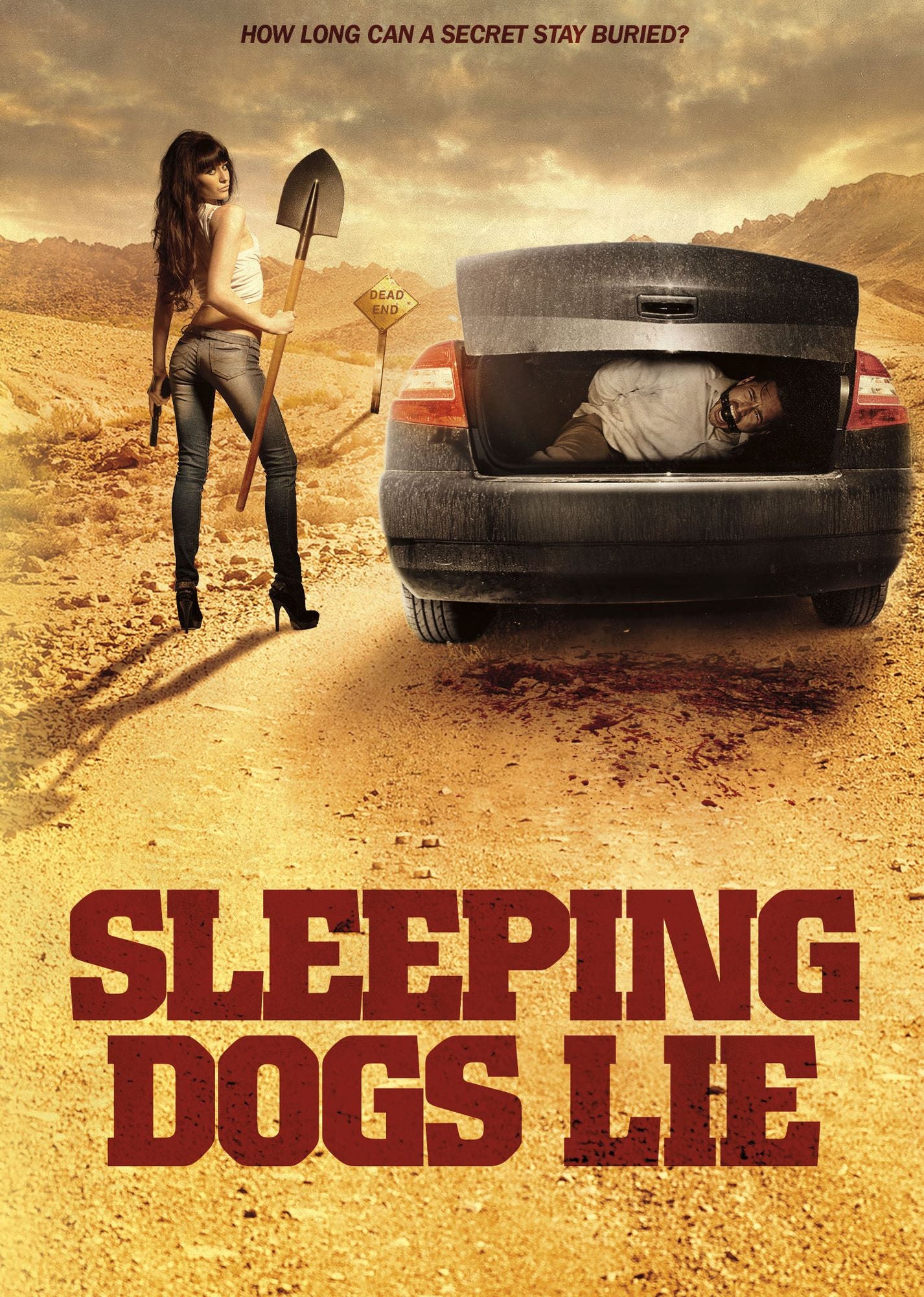Sleeping Dogs Lie