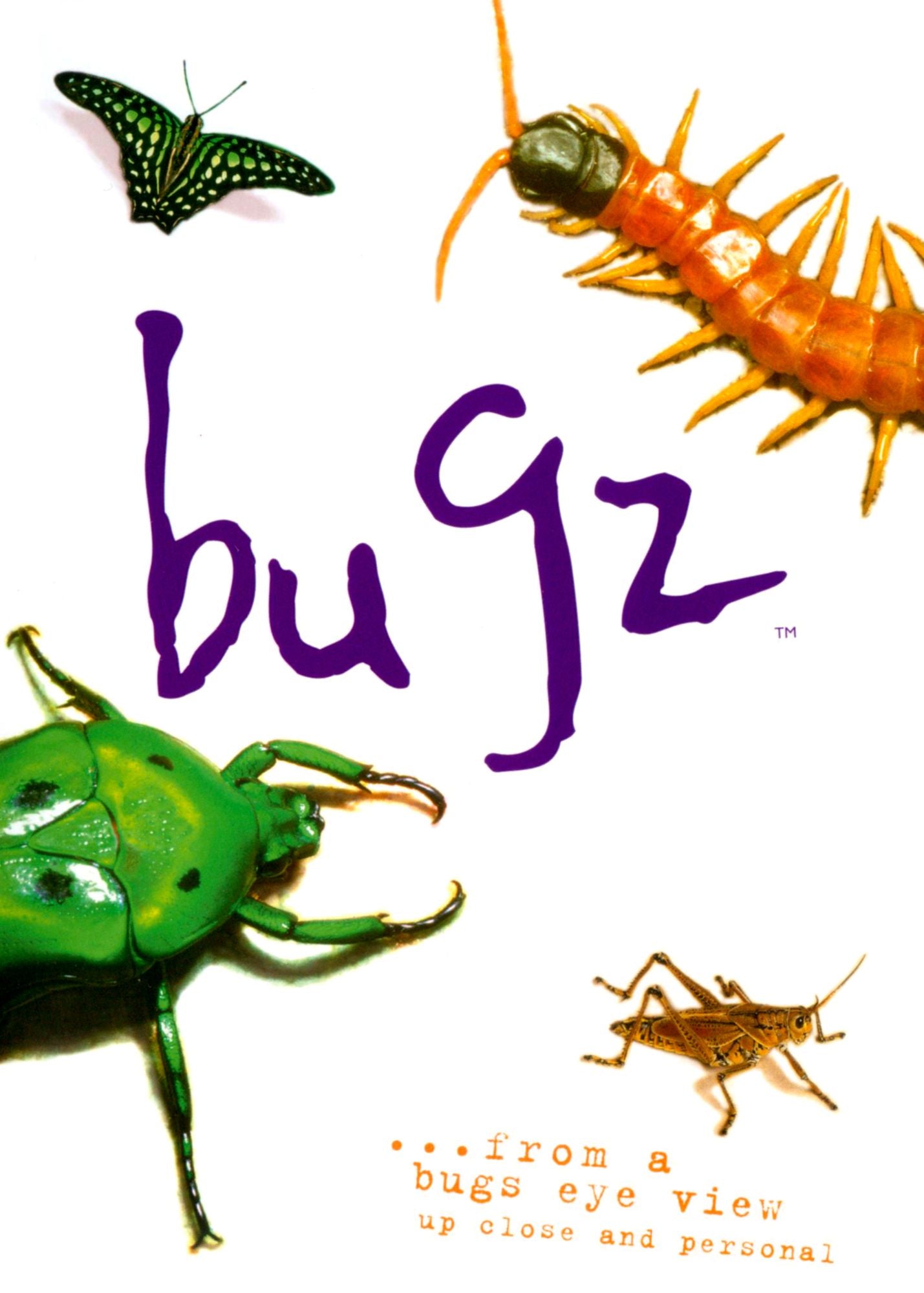 Bugz