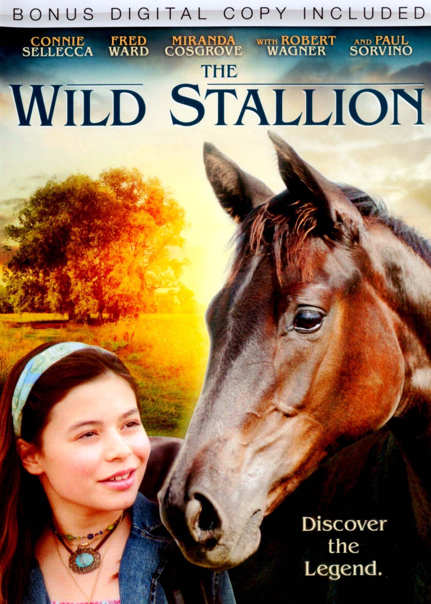 The Wild Stallion