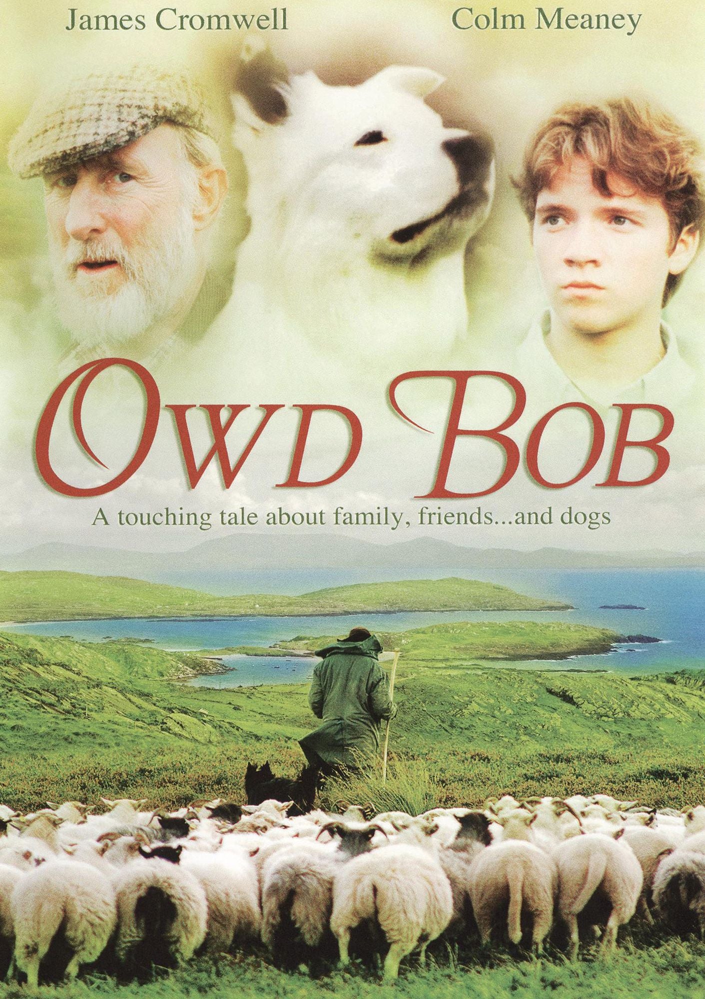 Owd Bob