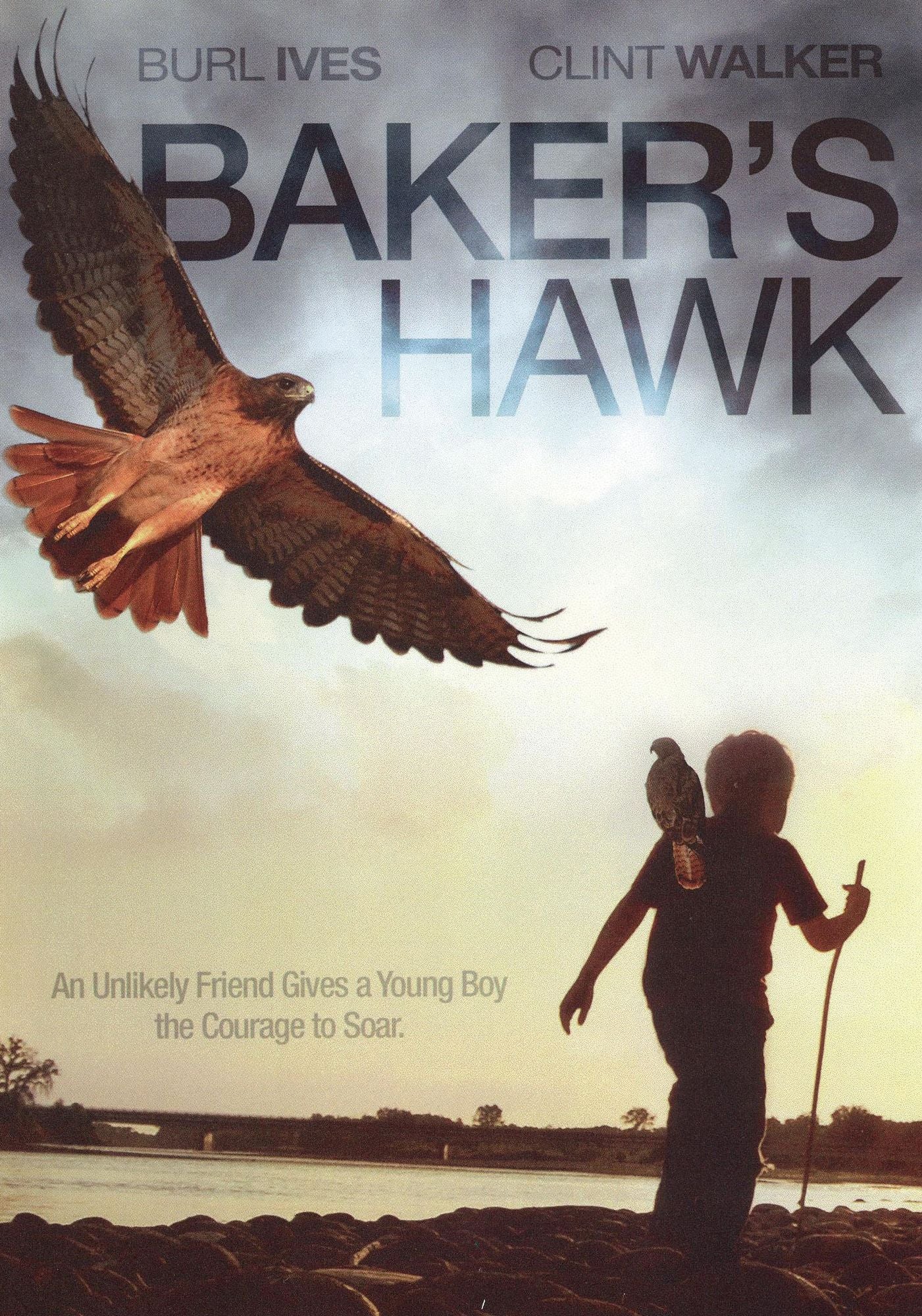 Baker's Hawk