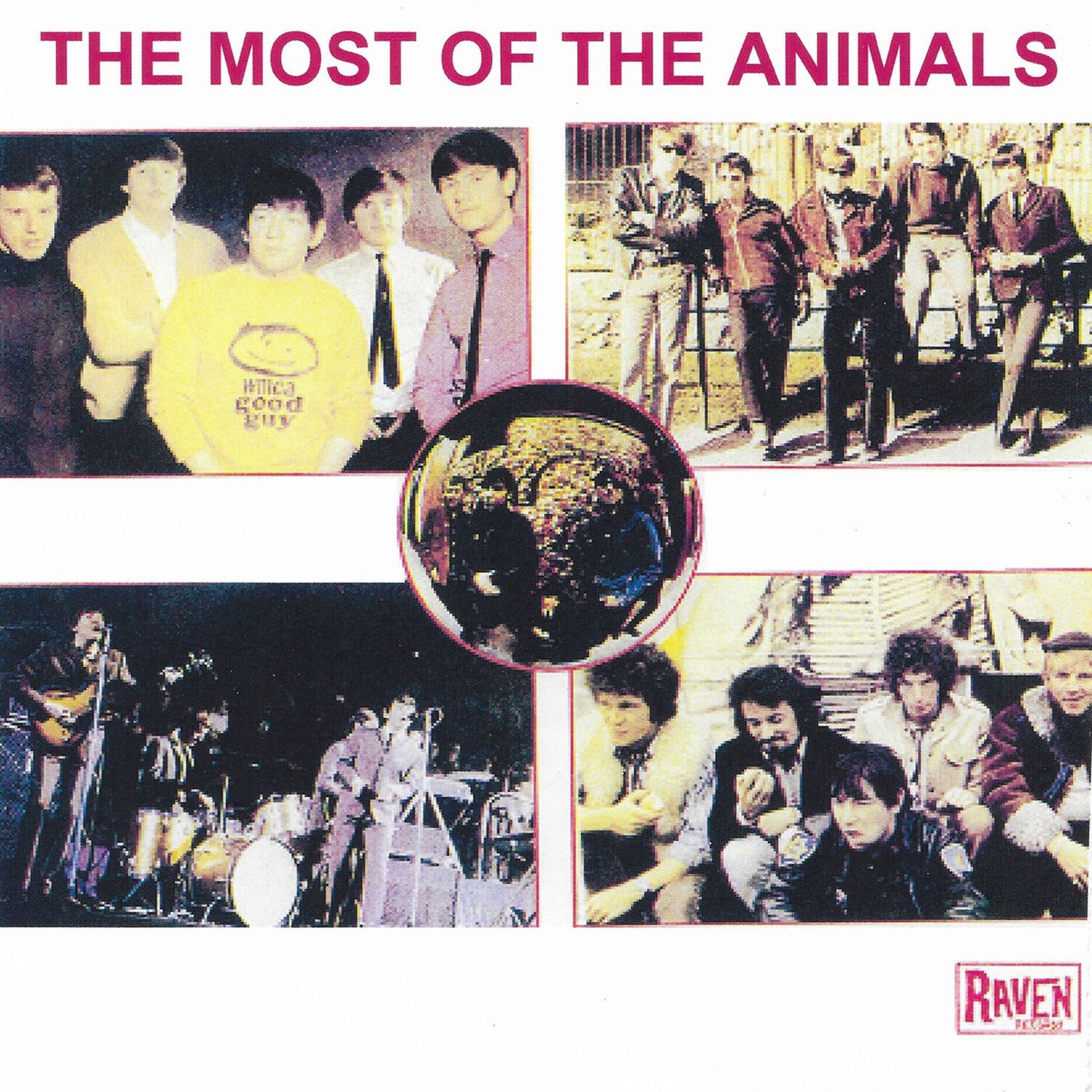 Most Of The Animals (Animals)