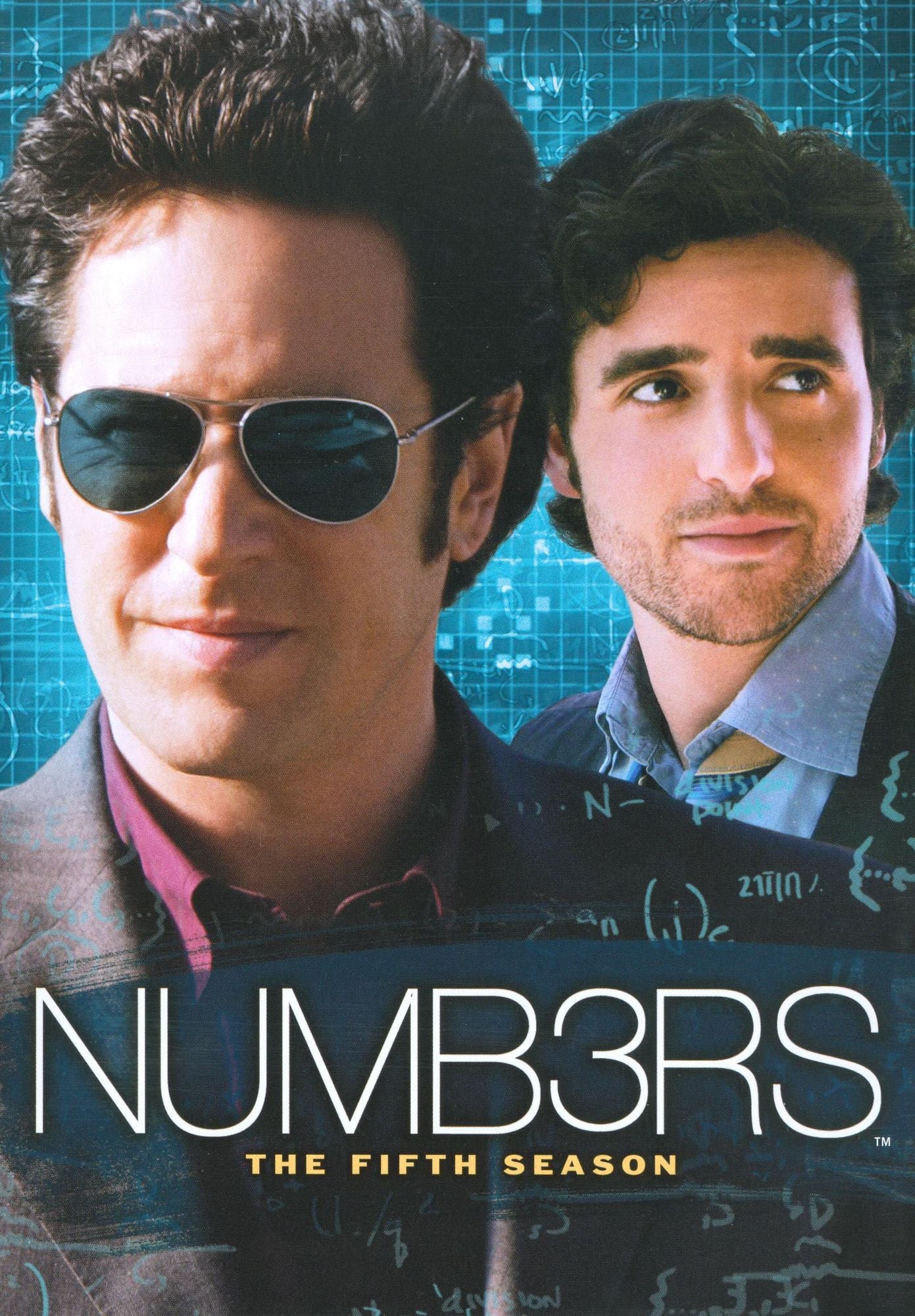 Numb3rs: The Fifth Season [6 Discs]