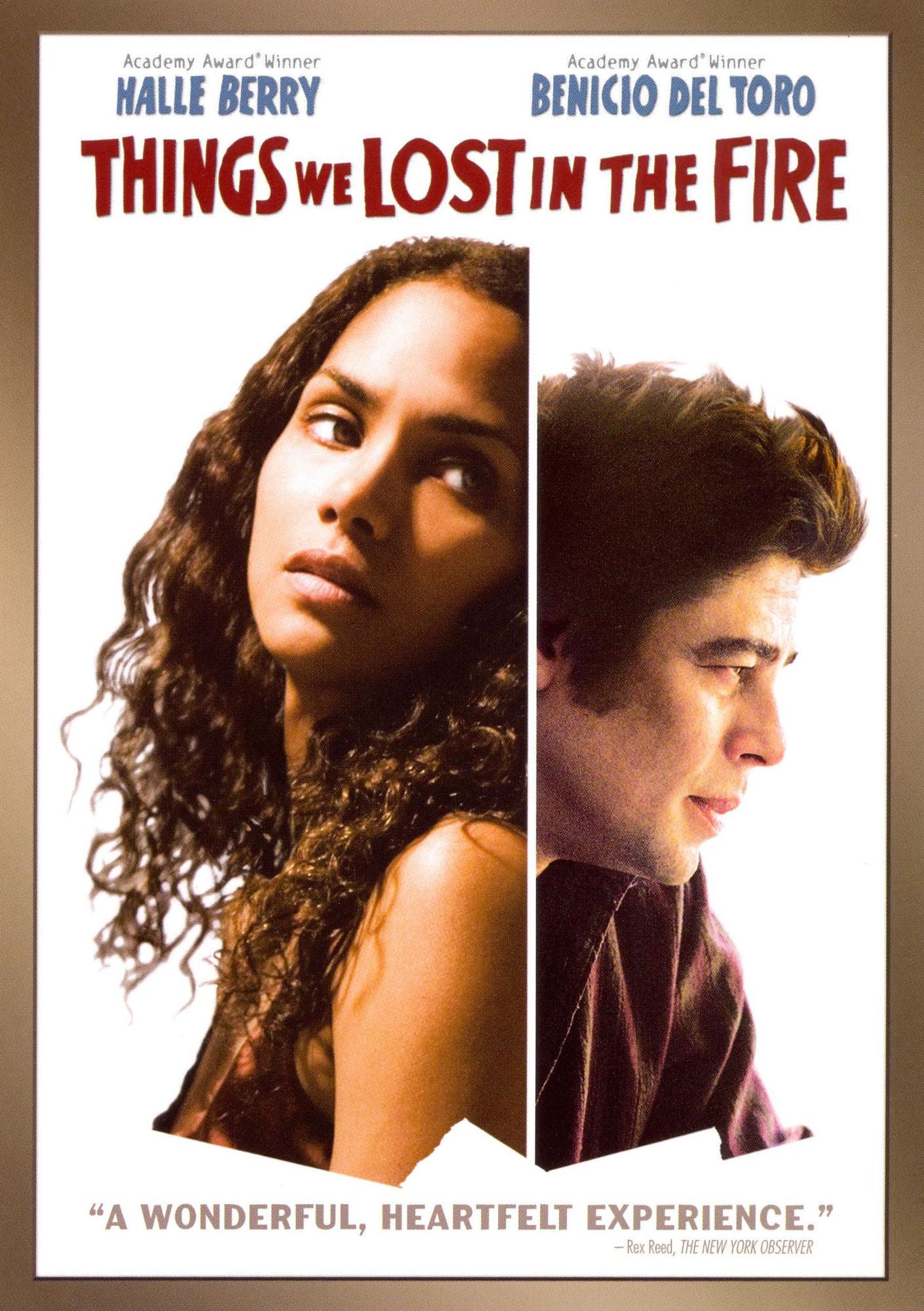Things We Lost in the Fire