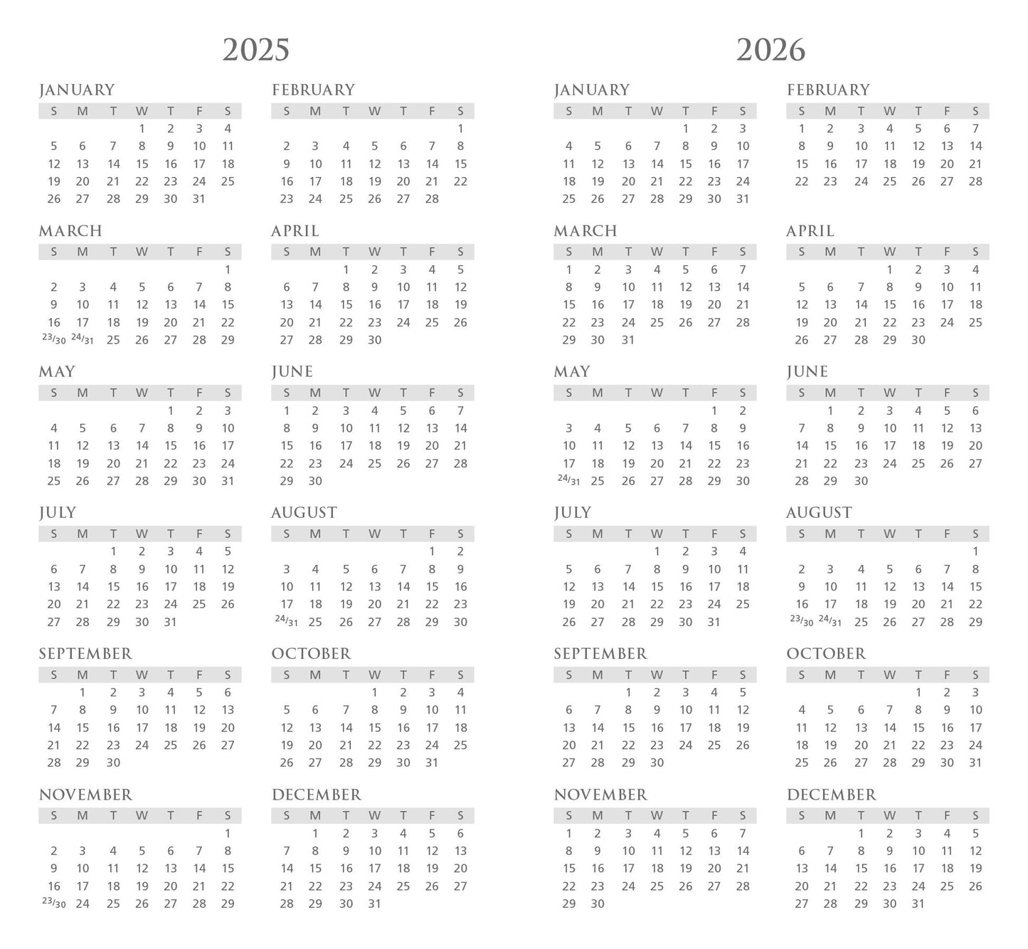 2025-2026 Mini Skinny Planner The Reader Cat