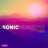 Sonic Horizons