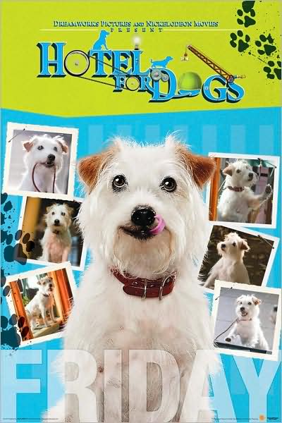 Hotel For Dogs - Friday - Poster