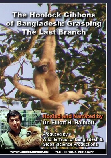 Hoolock Gibbons of Bangladesh: Grasping the Last Branch