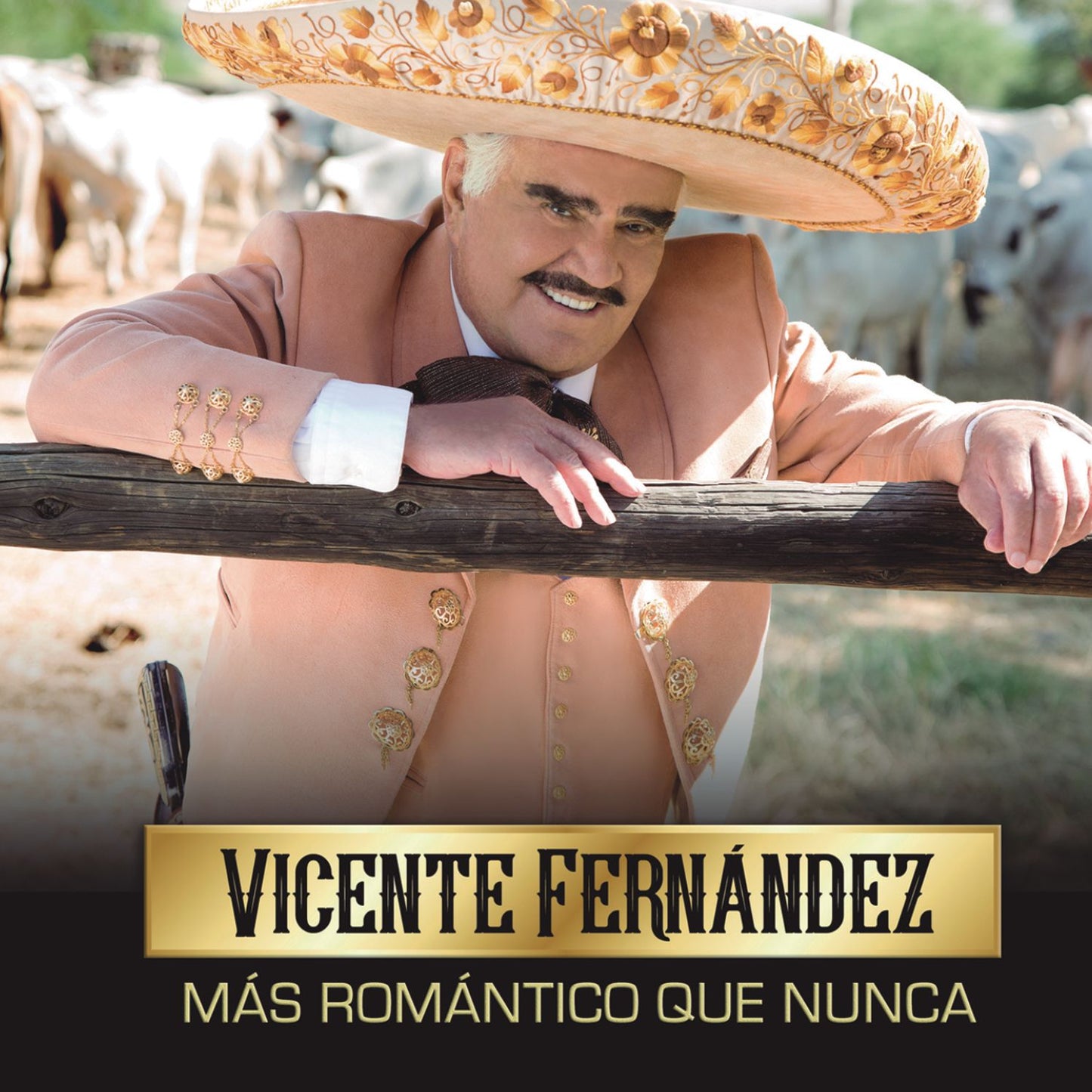Más Romántico Que Nunca