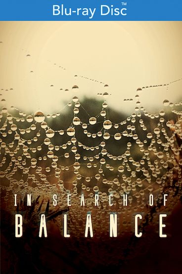 In Search Of Balance