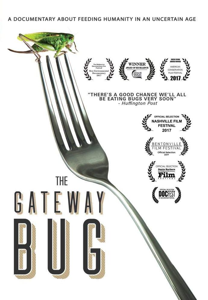 The Gateway Bug