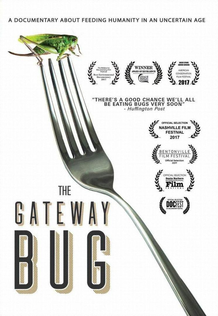 The Gateway Bug