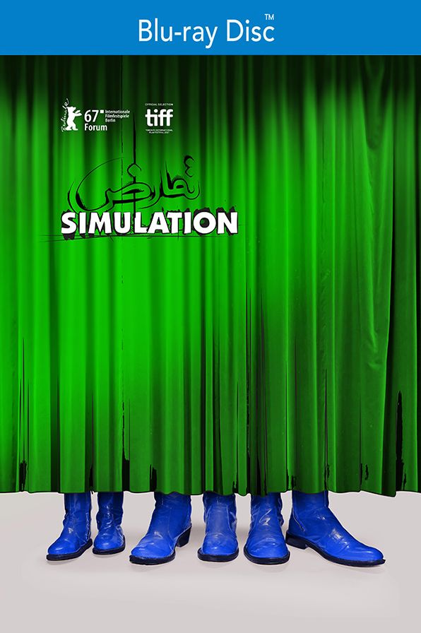 Simulation