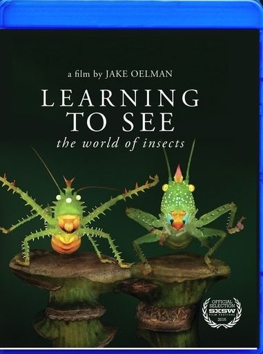 Learning to See: The World of Insects