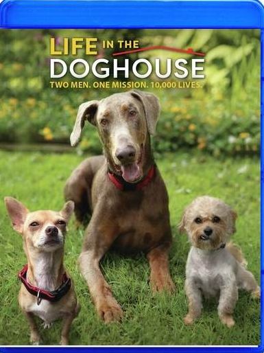 Life In The Doghouse