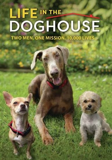 Life In The Doghouse