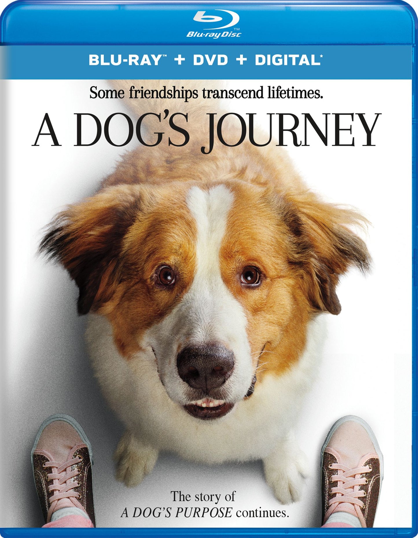 A Dog's Journey [Includes Digital Copy] [Blu-ray/DVD]