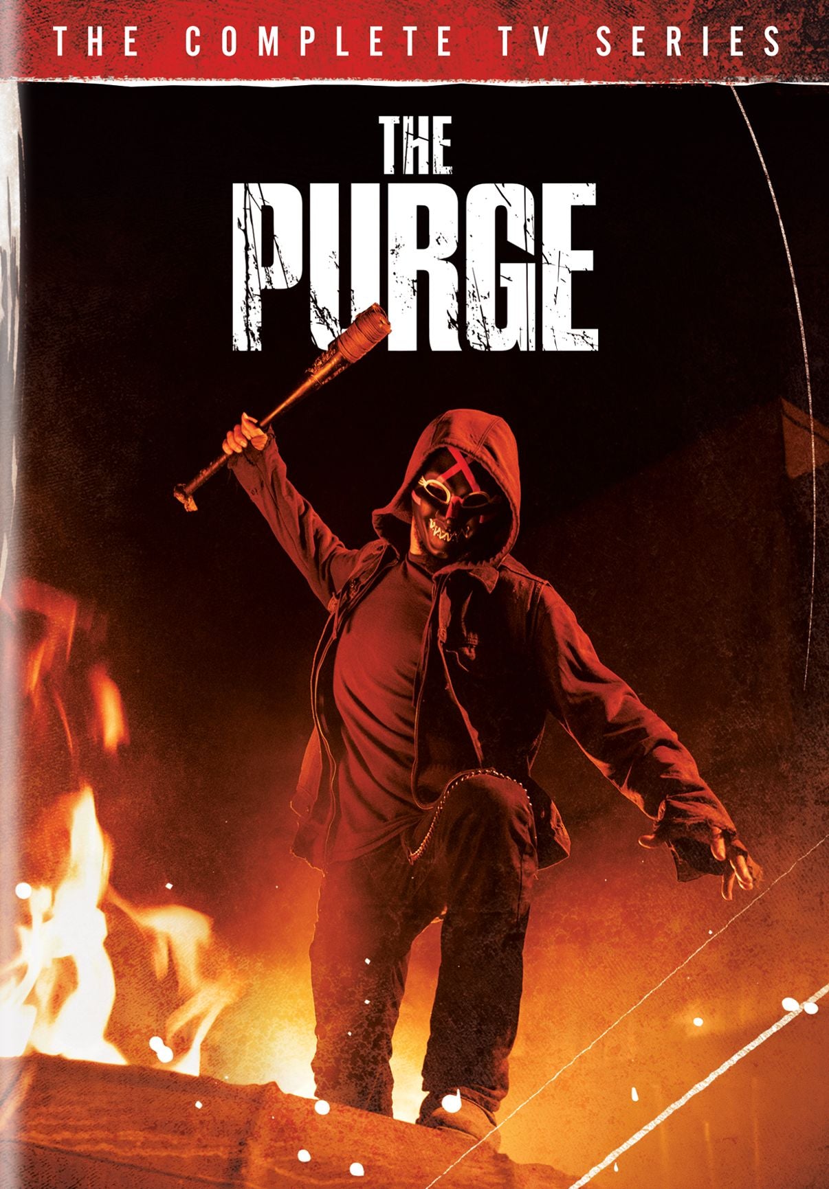 Purge: Complete Tv Series (4Pc) / (Box)