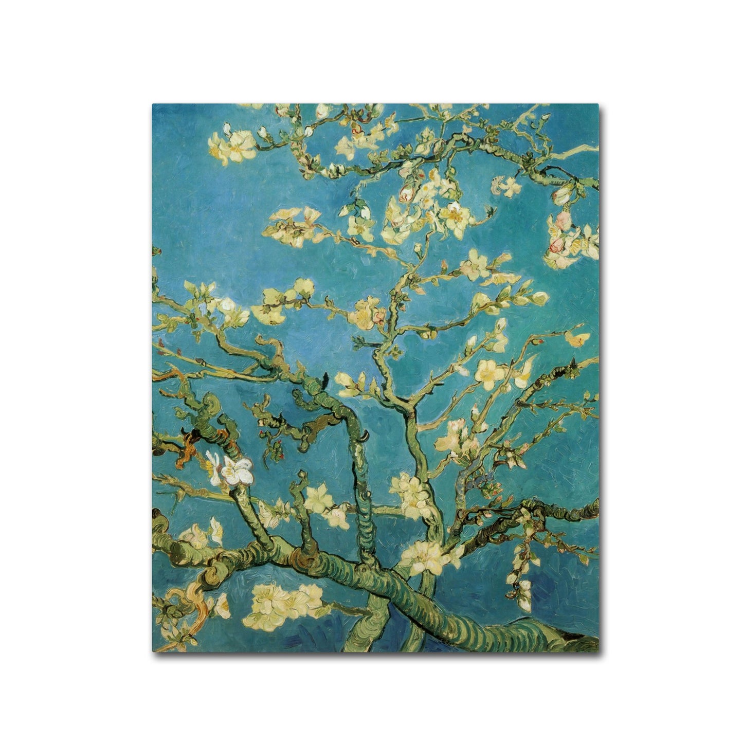 Vincent van Gogh 'Almond Branches In Bloom' Multi Panel Art