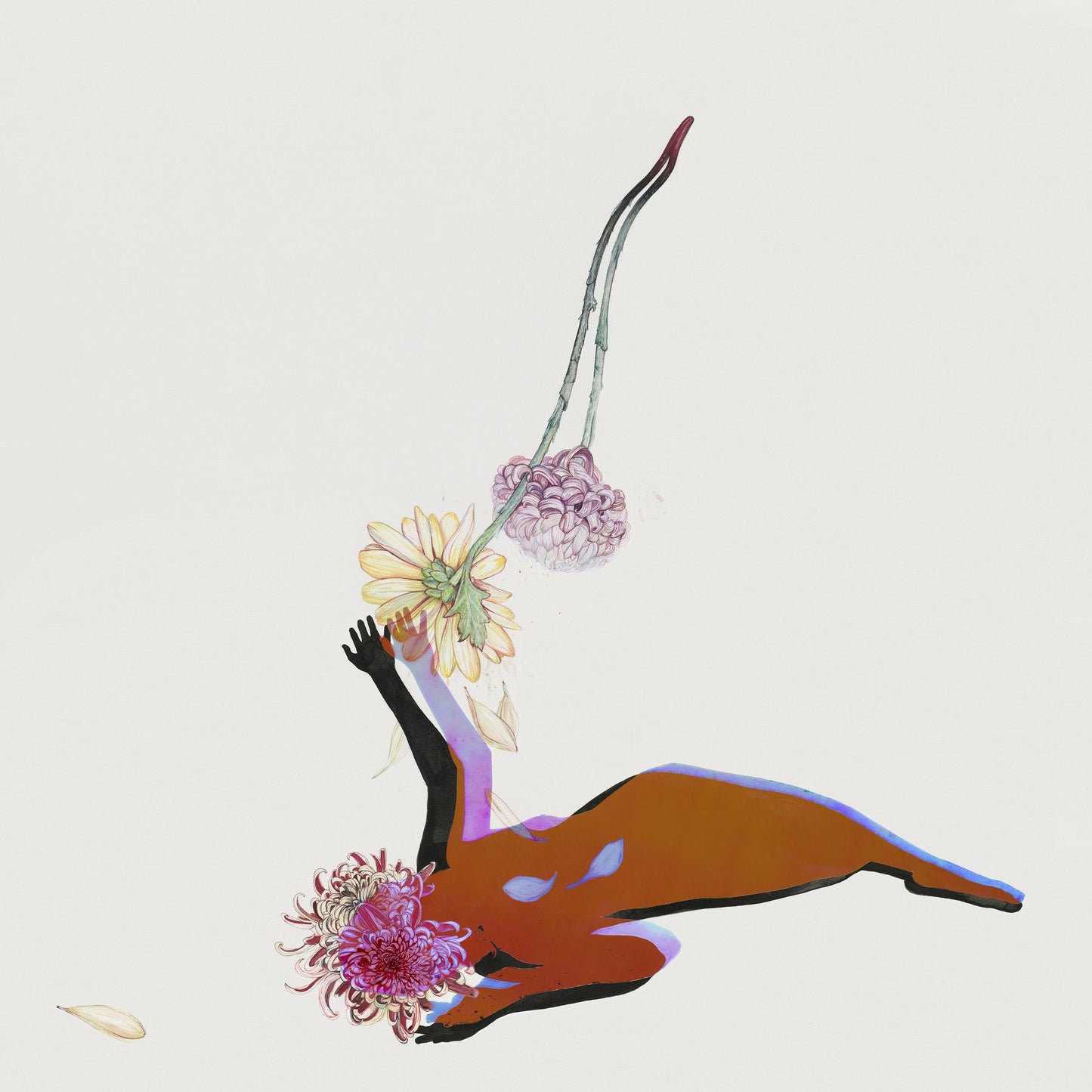 Far Field [Lp]