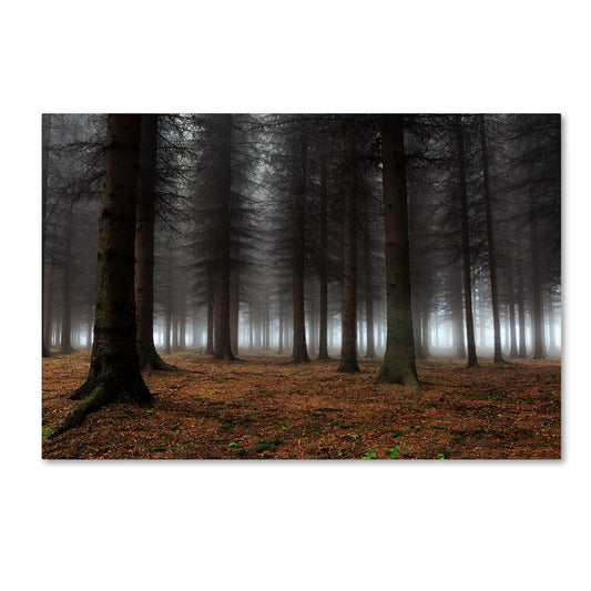 Dragisa Petrovic 'Place Of Silence' Canvas Art