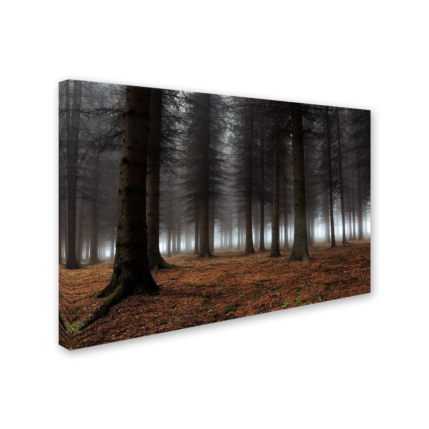 Dragisa Petrovic 'Place Of Silence' Canvas Art
