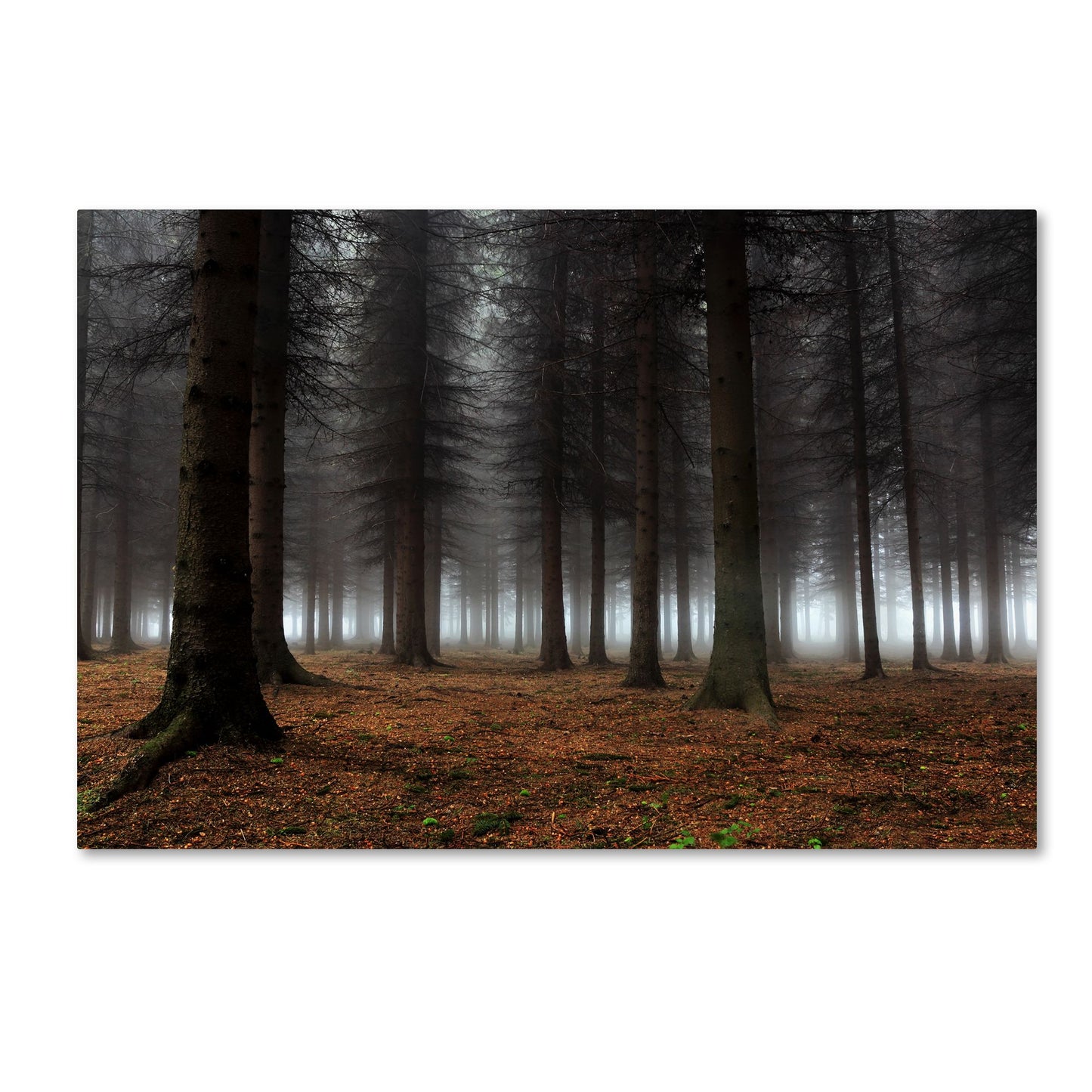 Dragisa Petrovic 'Place Of Silence' Canvas Art