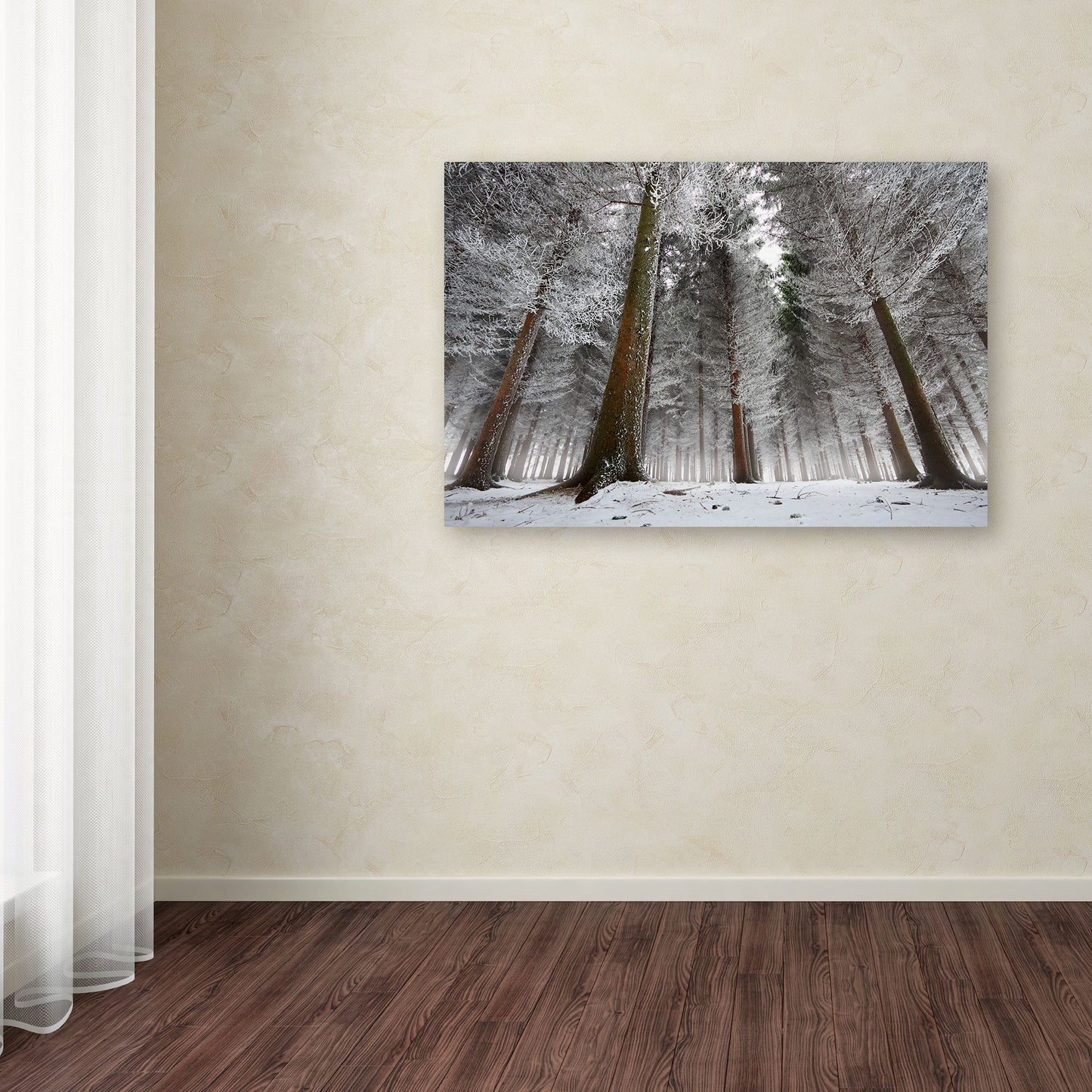 Dragisa Petrovic 'Morning In The Forest' Canvas Art