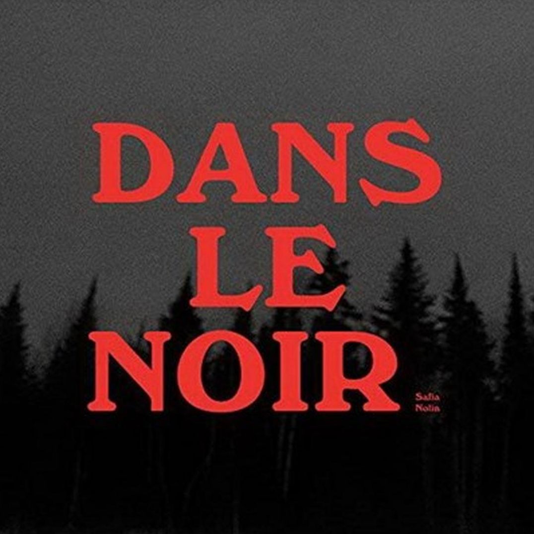 Dans le Noir