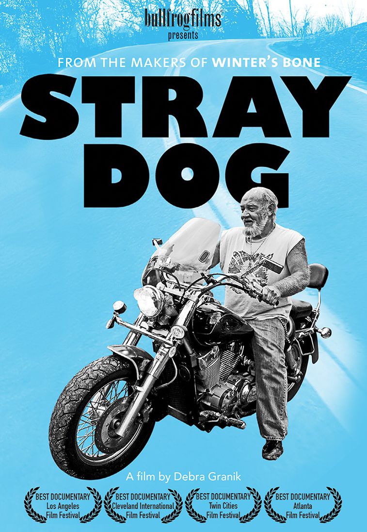 STRAY DOG (2014)
