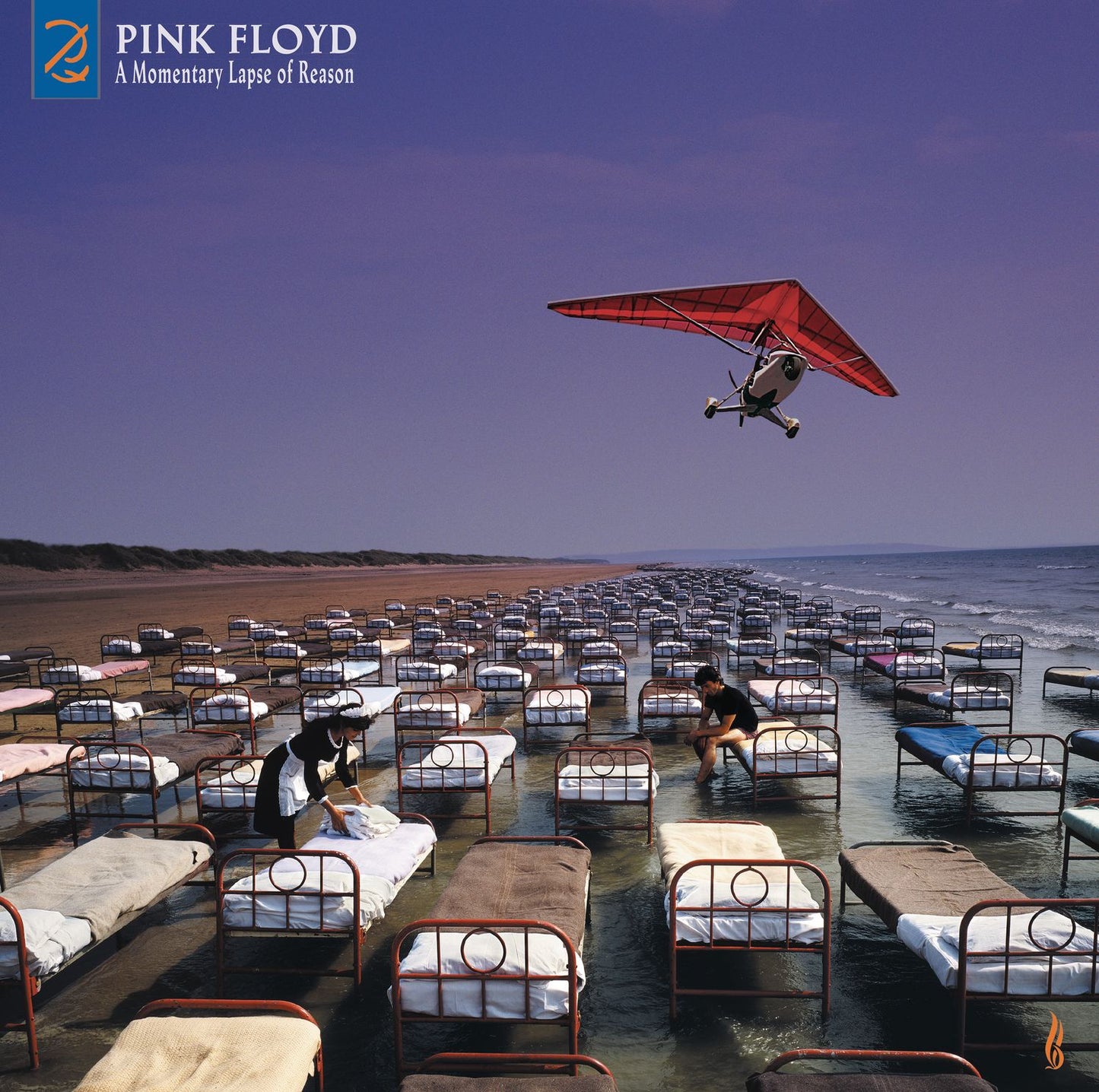 Momentary Lapse Of Reason