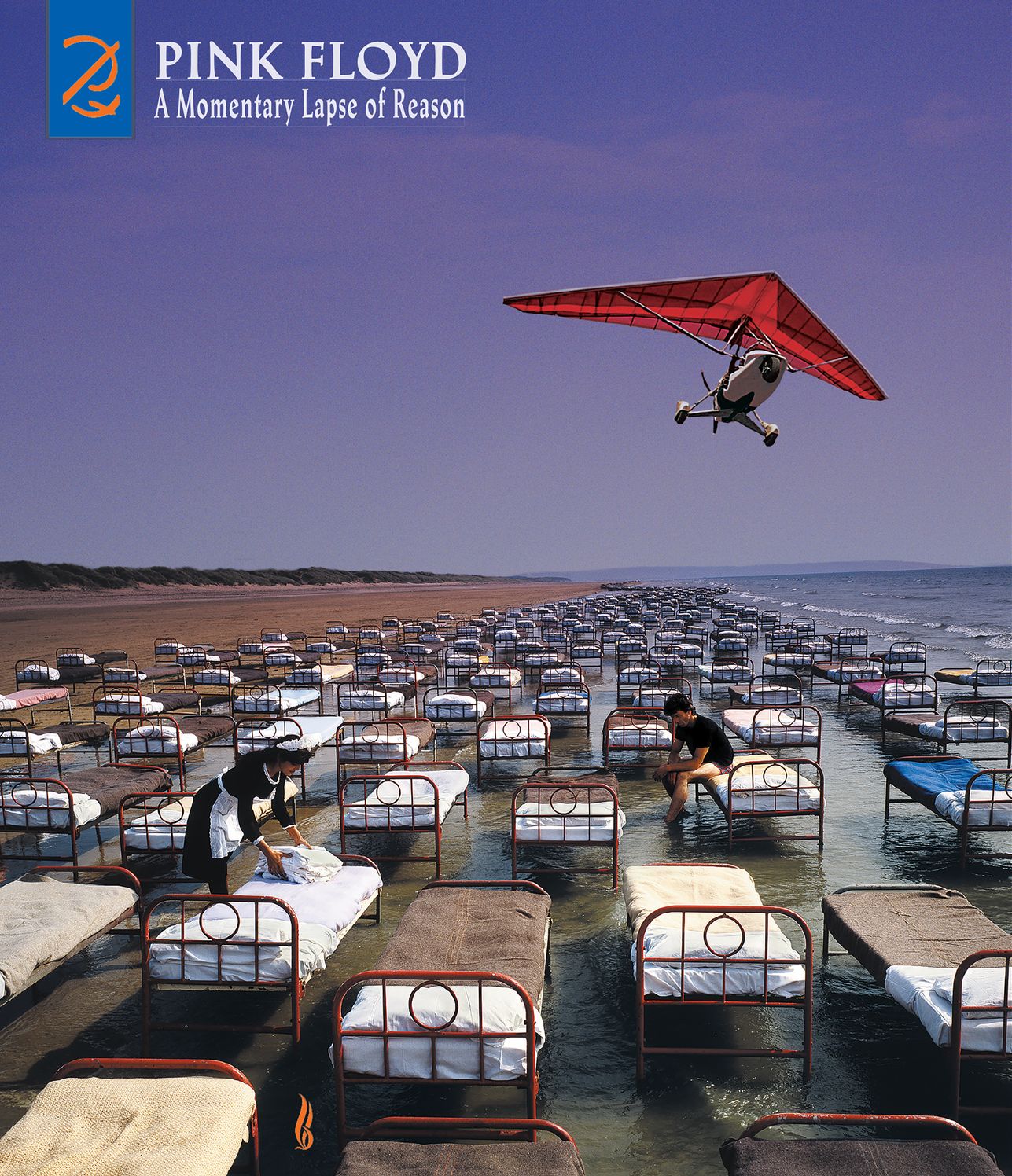 Momentary Lapse Of Reason