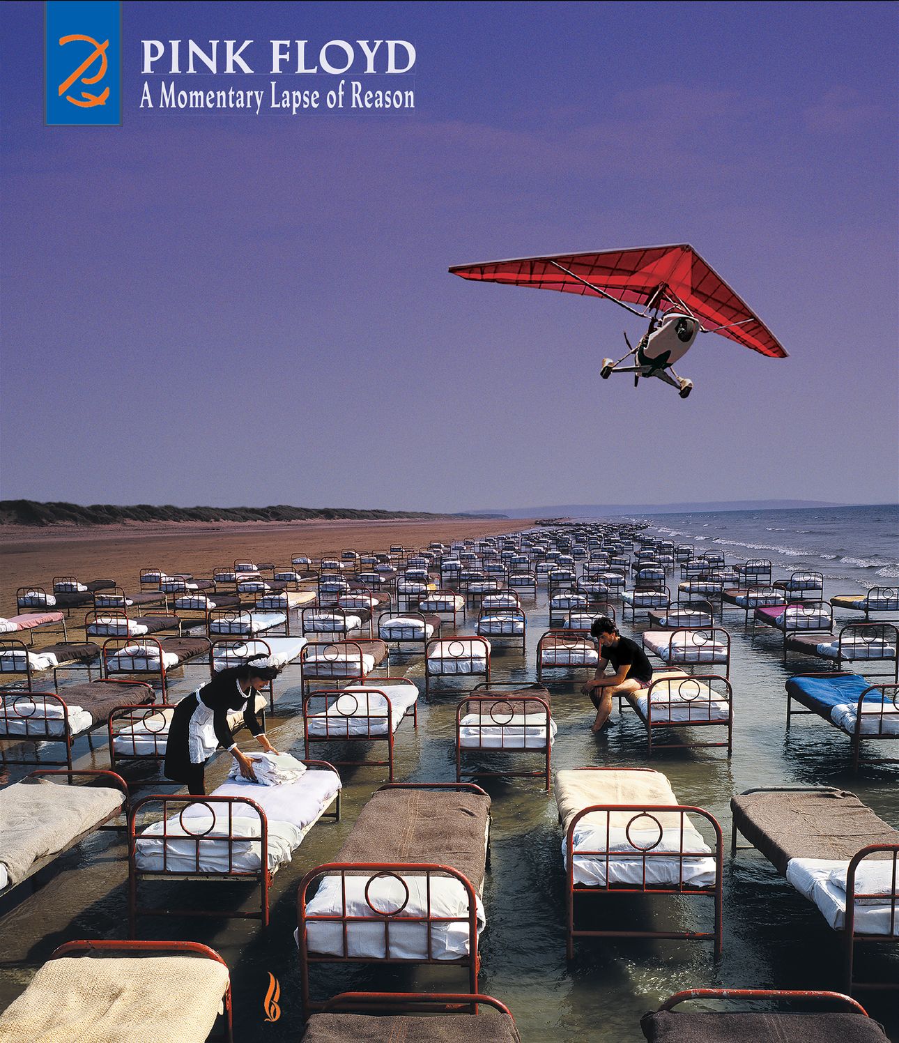 Momentary Lapse Of Reason