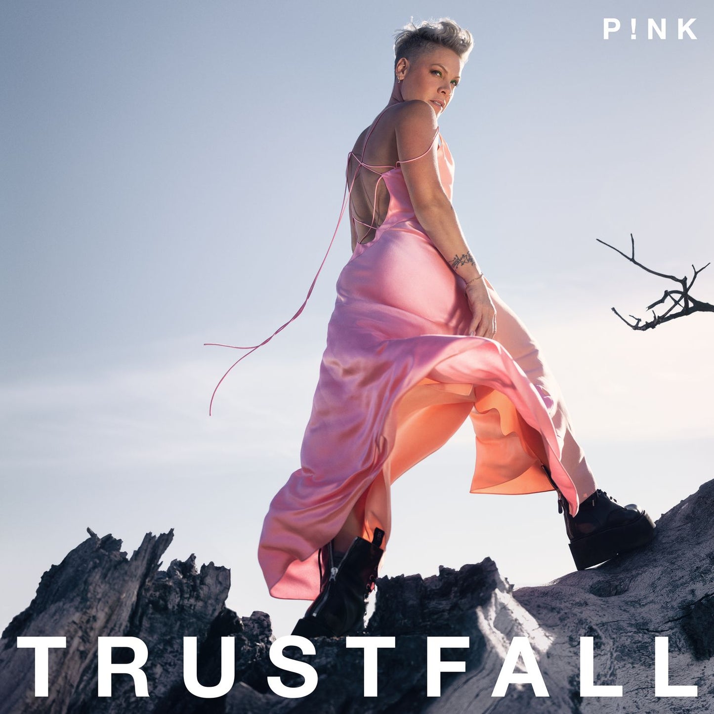 Trustfall (Gate) (Wb)