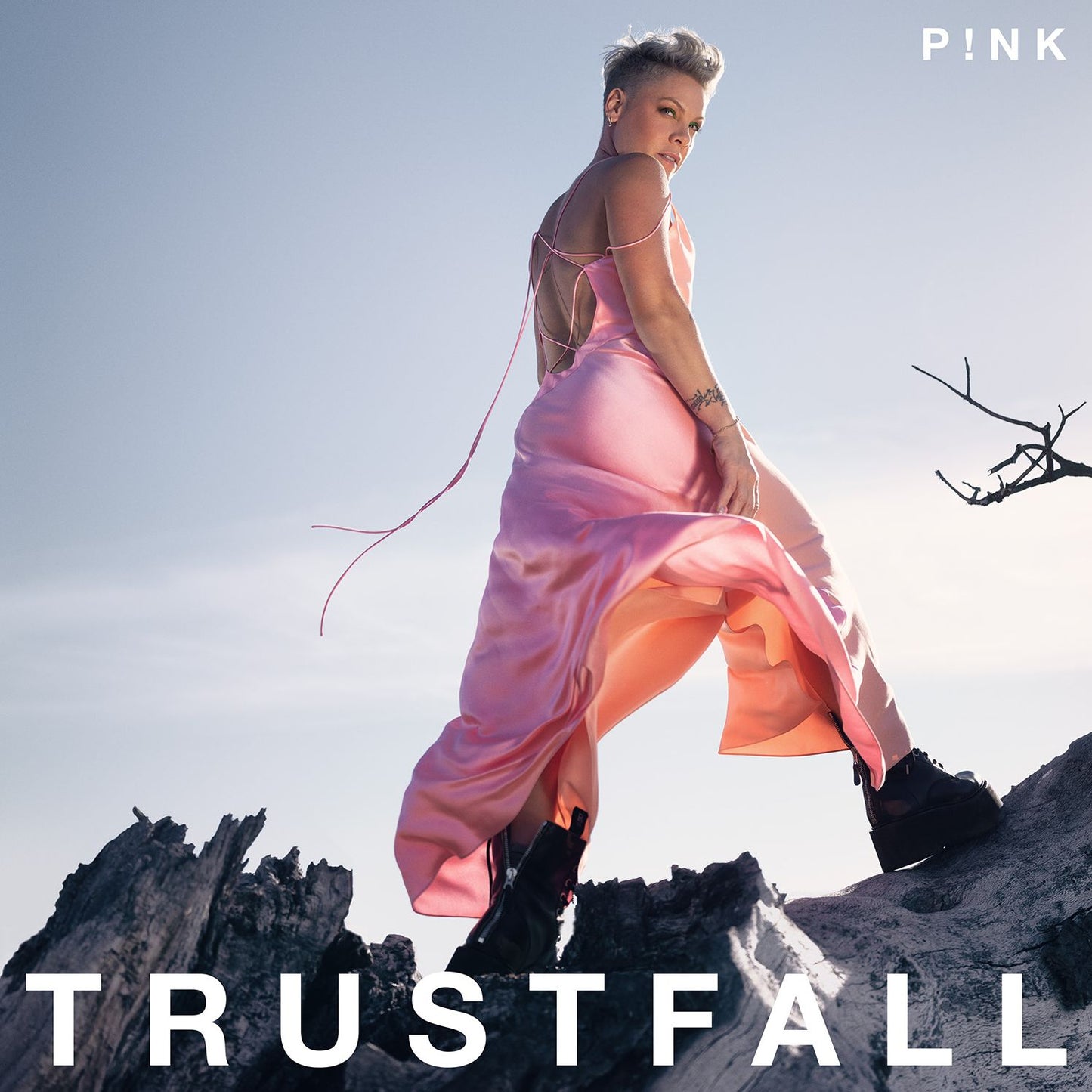 Trustfall (Gate) (Wb)