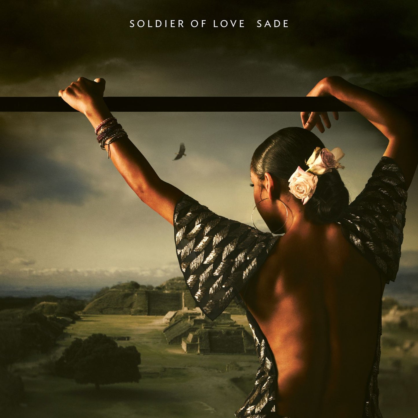 Soldier Of Love (Sade)