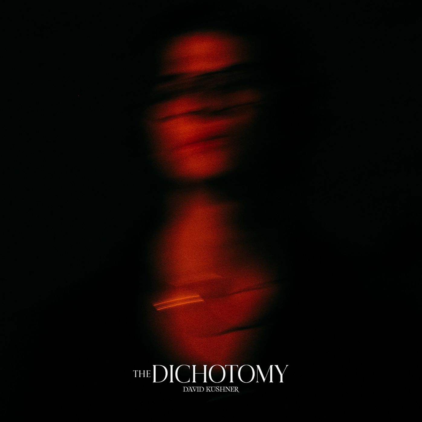 Dichotomy (David Kushner)