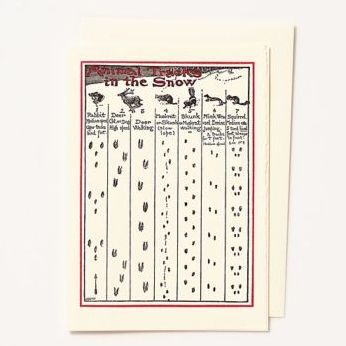 Animal Tracks Christmas Card