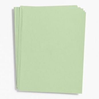 Eucalyptus Card Stock 8.5" x 11"