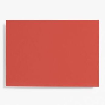 A2 Poinsettia Note Cards