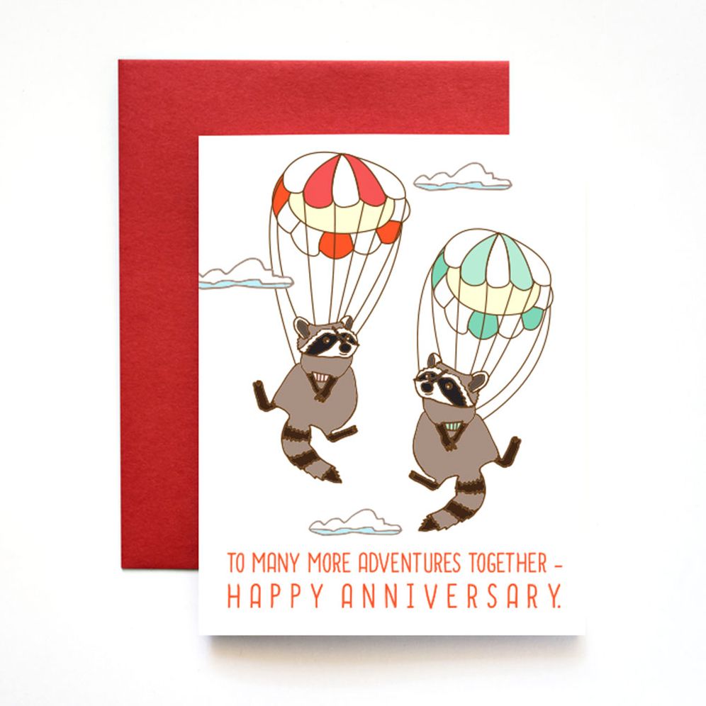 ANNIV Skydiving racoons