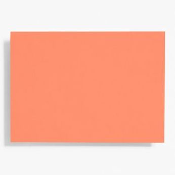 A6 Papaya Note Cards
