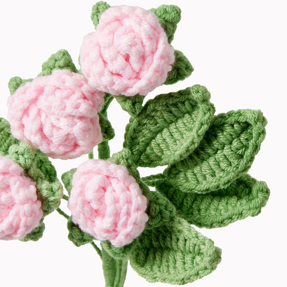 Pink Roses Bundle