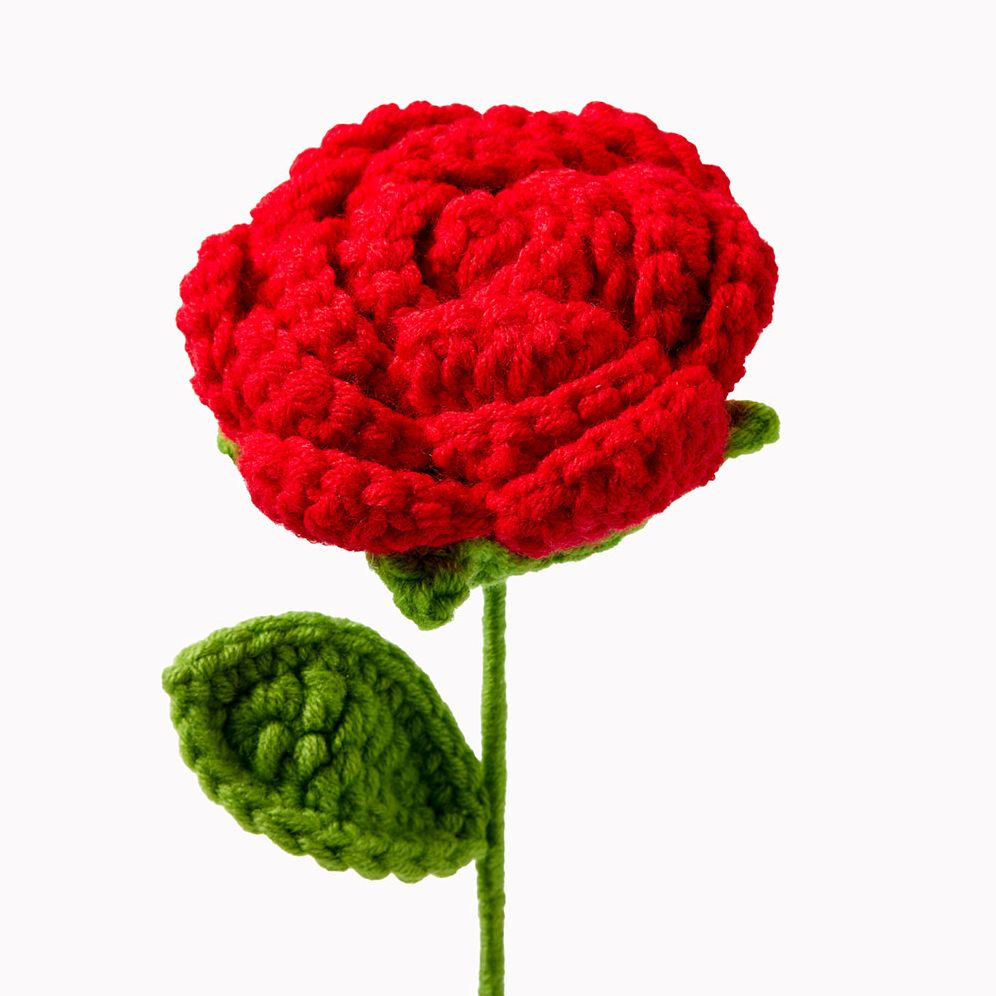 Red Rose