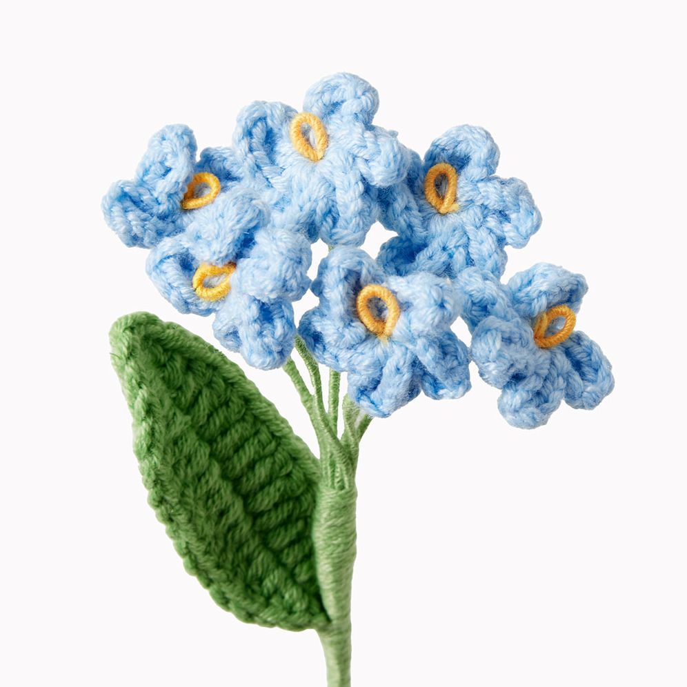 Blue Hydrangea